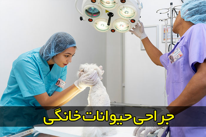 آزمایشگاه حیوانات